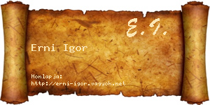 Erni Igor névjegykártya